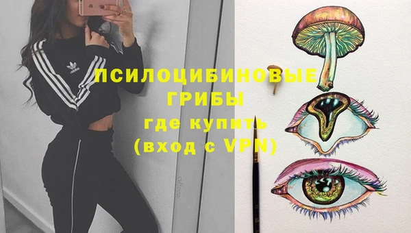 гашик Остров